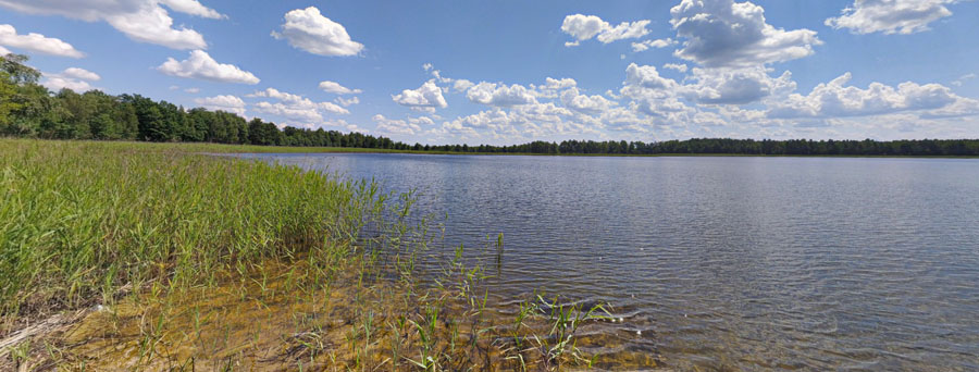 Острівський заказник